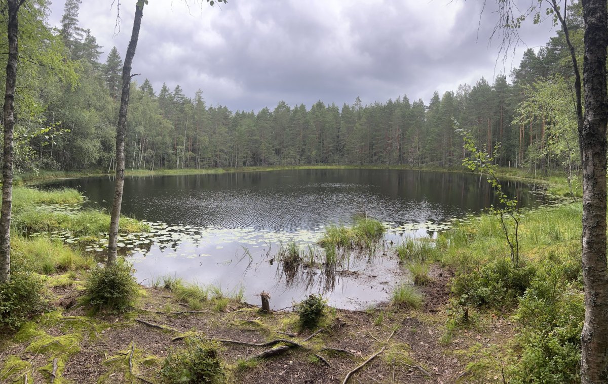 Národní park Nuuksio