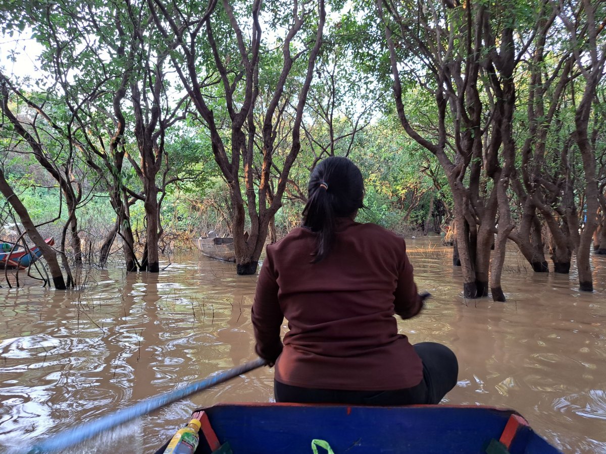 Tonle Sap mezi magrovy