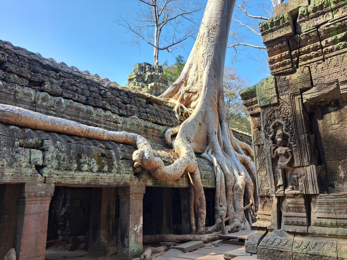 Ta Prohm