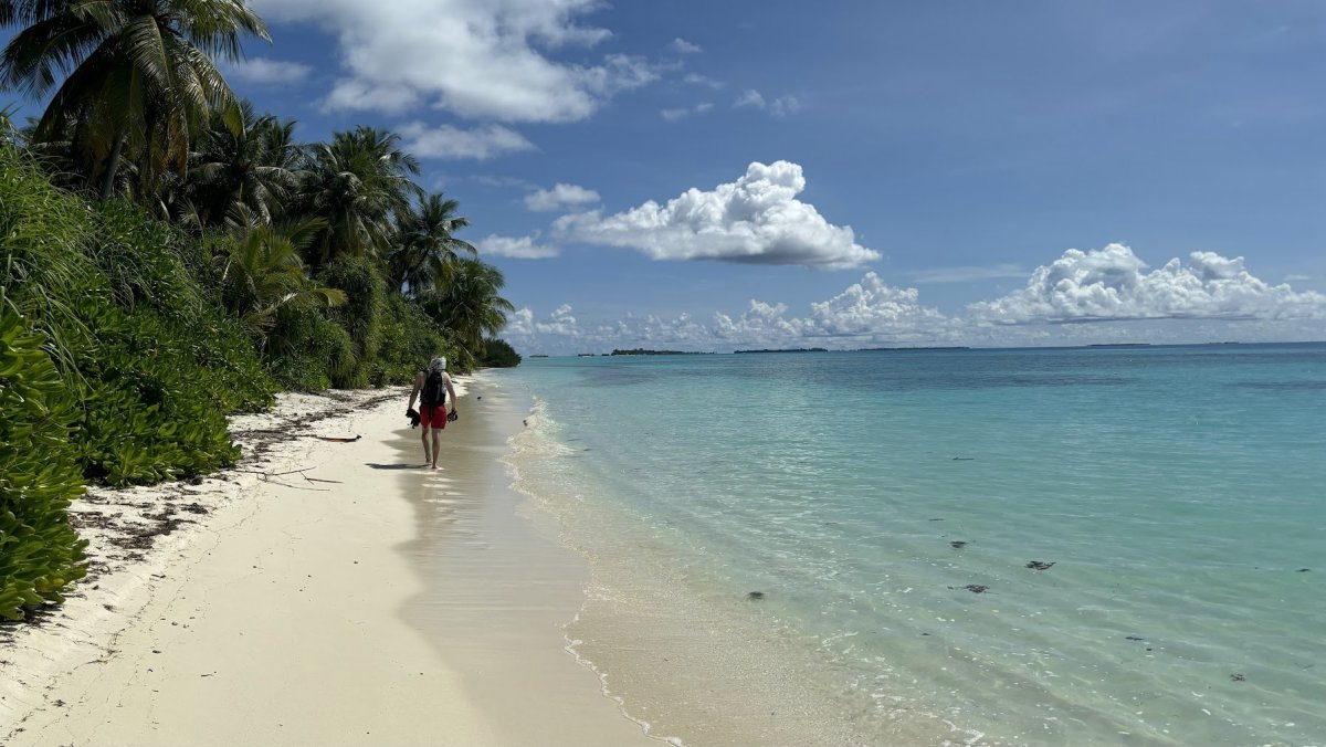 Bikini beach