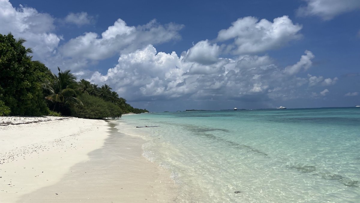 Bikini beach