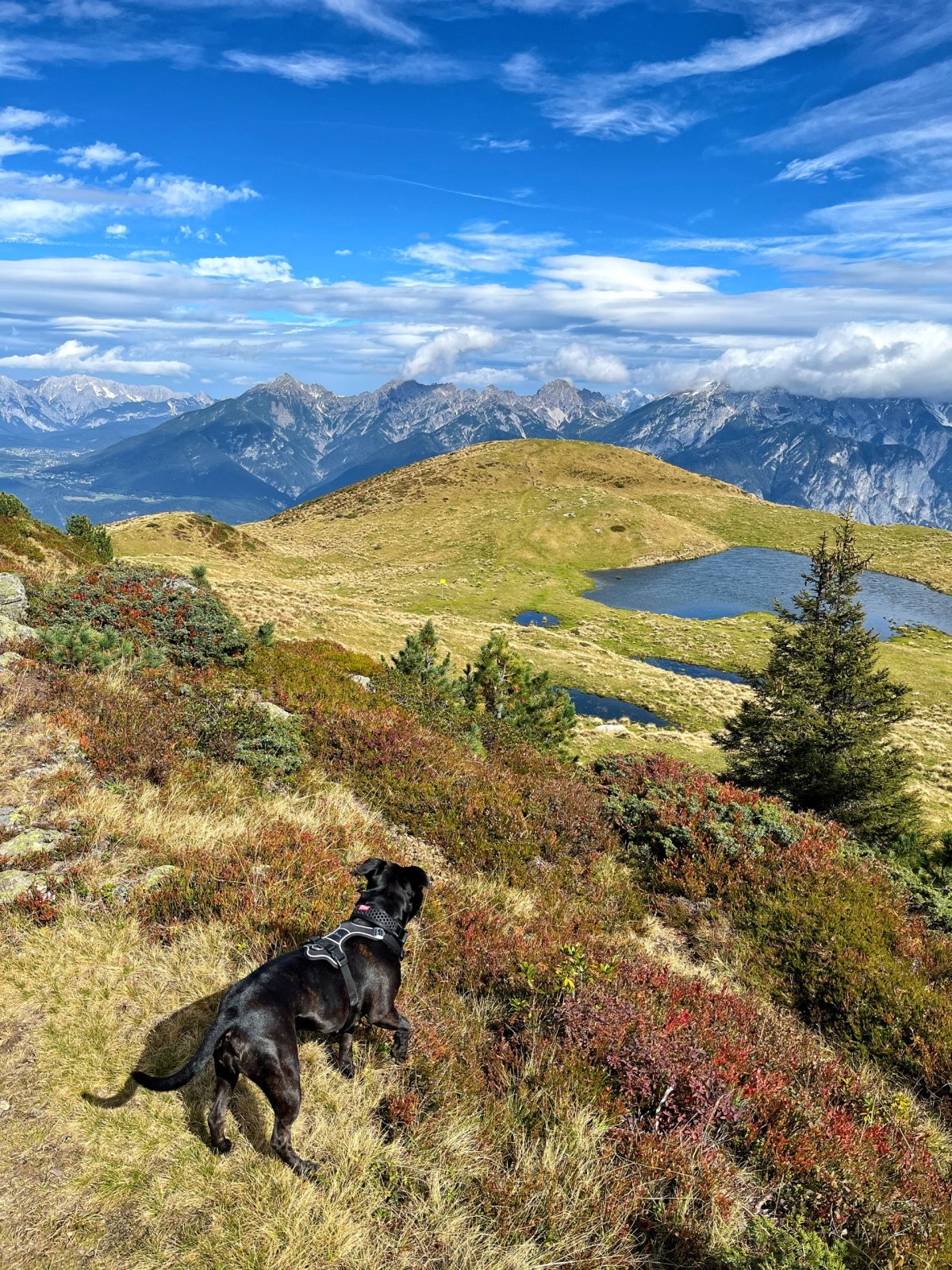 Pohled na Salfeiner See