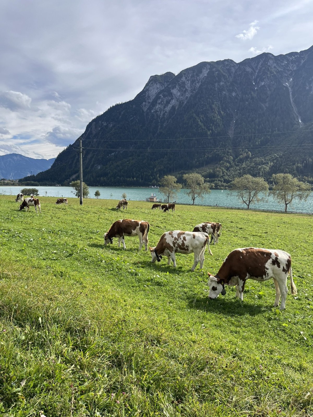 Idylka u jezera Achensee