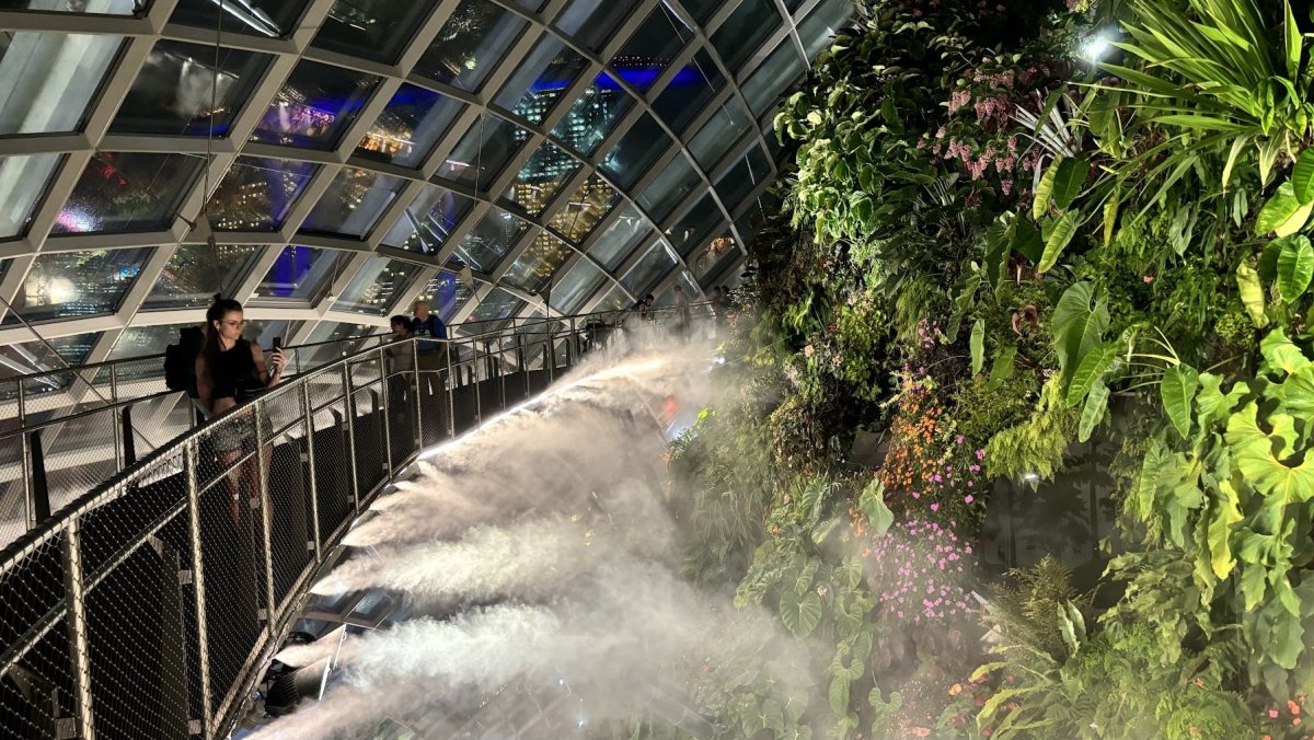 Cloud Forest