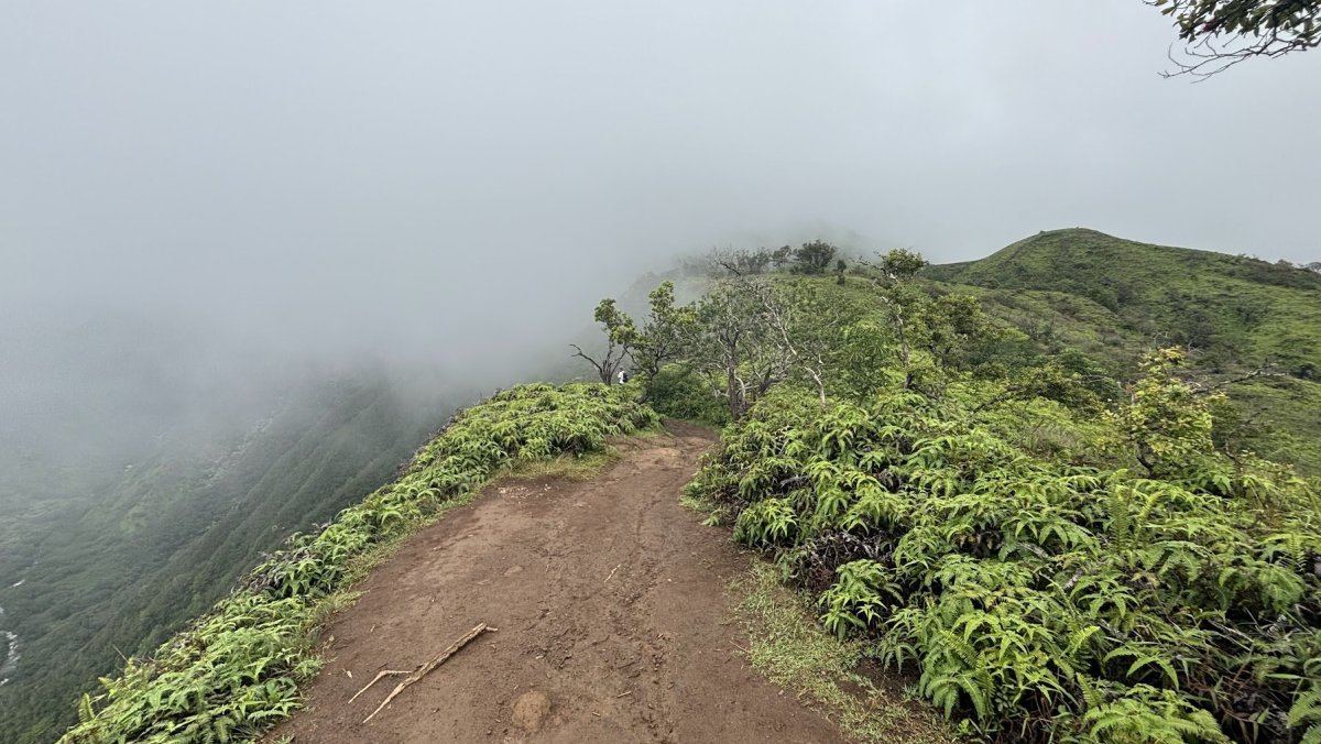 Waihee Ridge trail