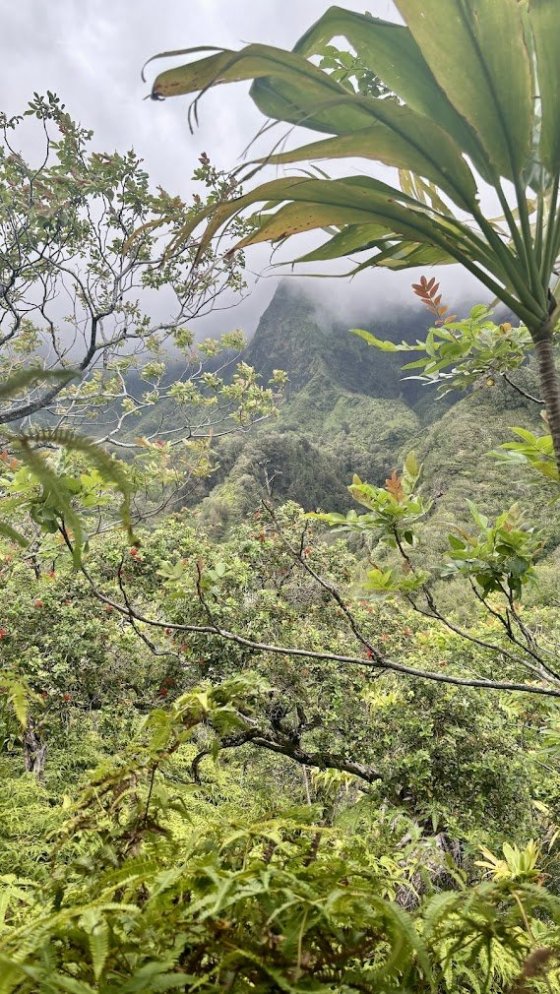 Iao Valley