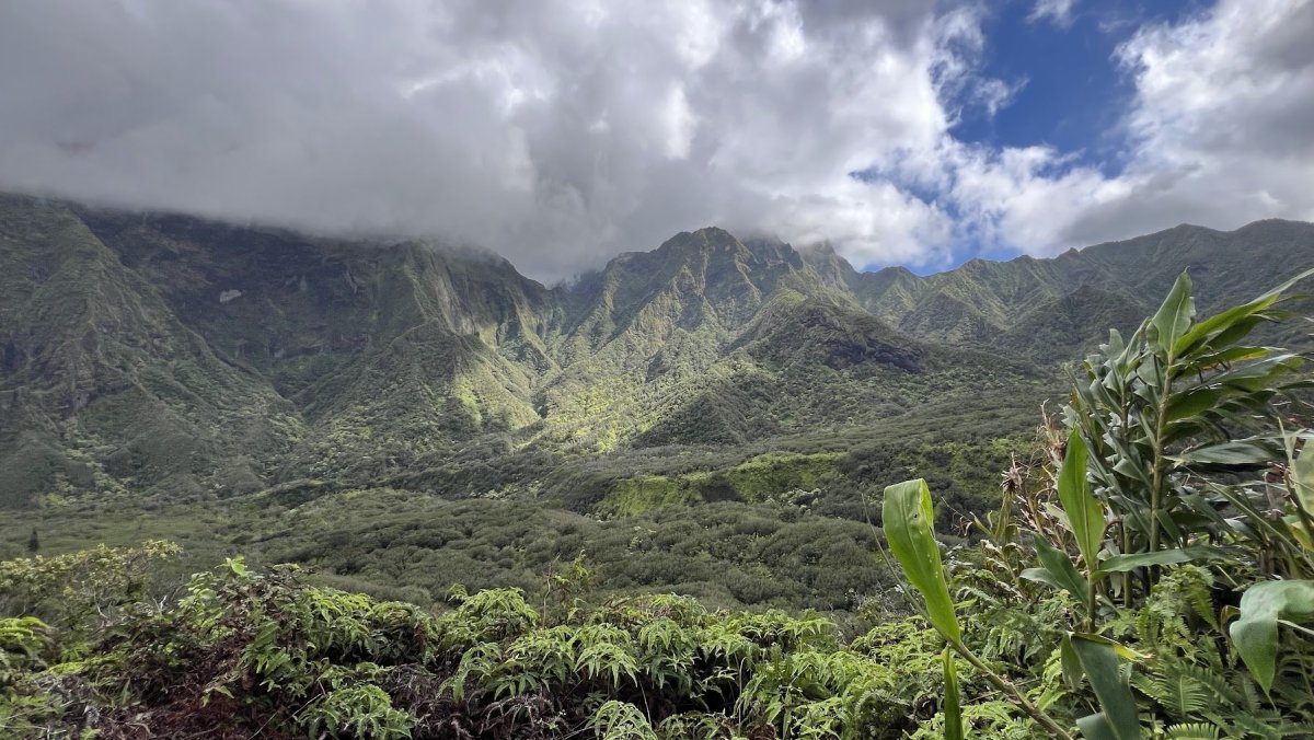 Iao Valley