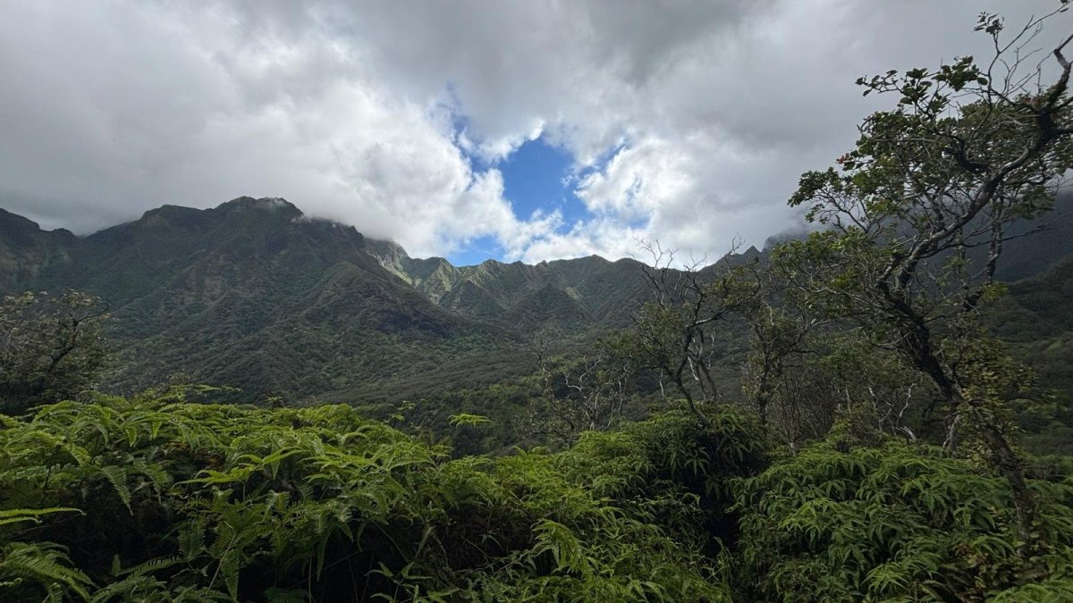 Iao Valley