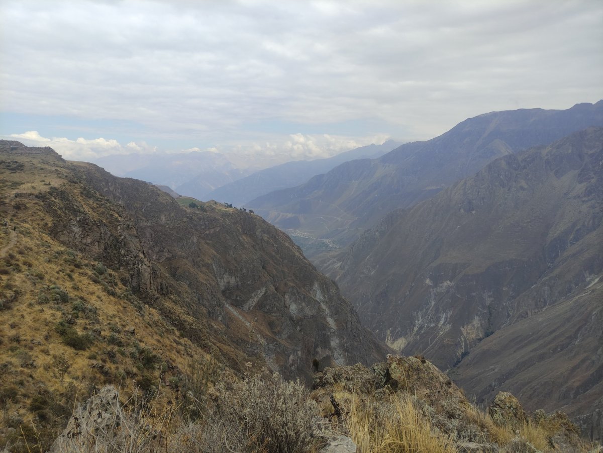 Colca canoň