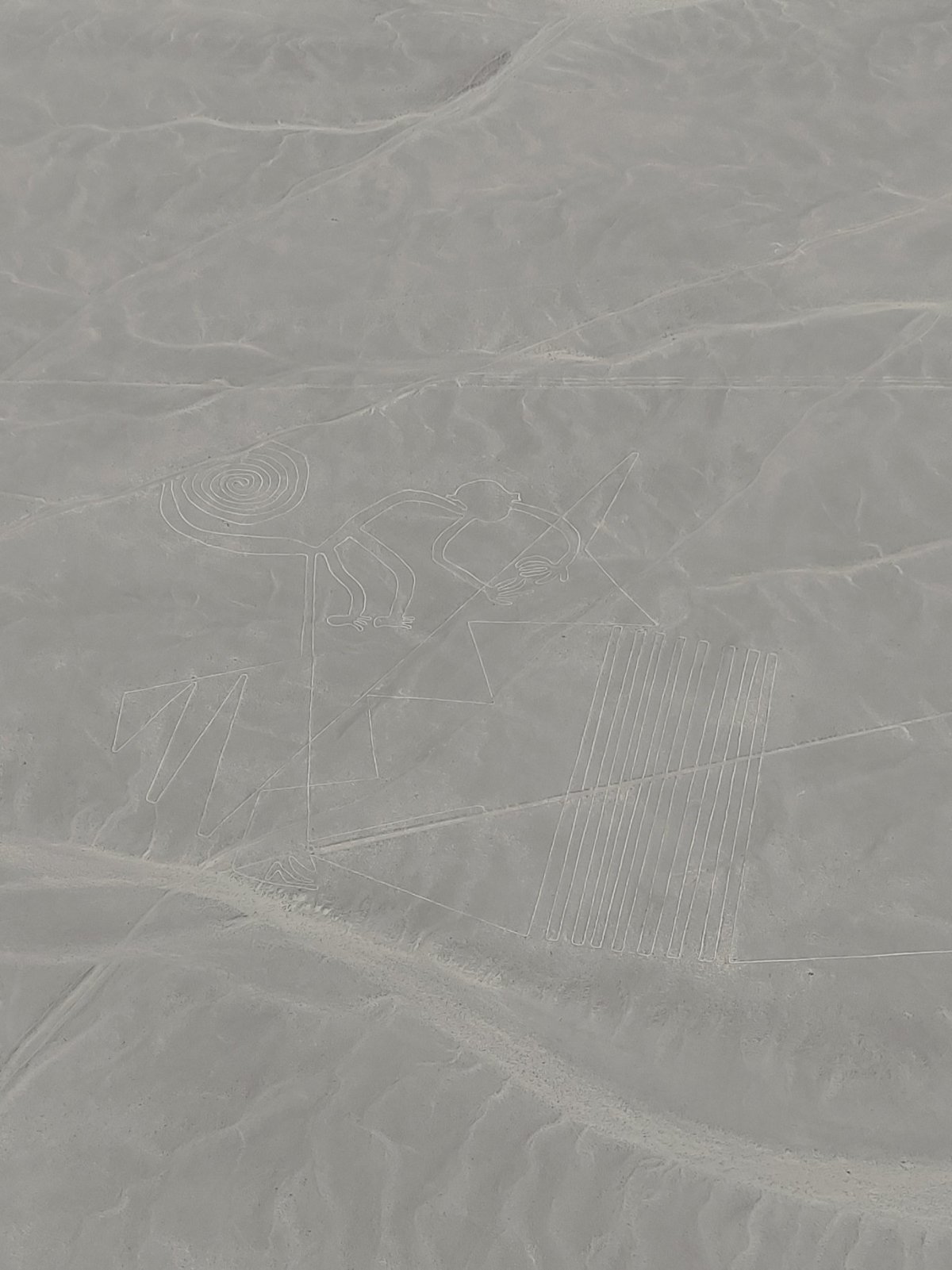 Obrazce Nazca