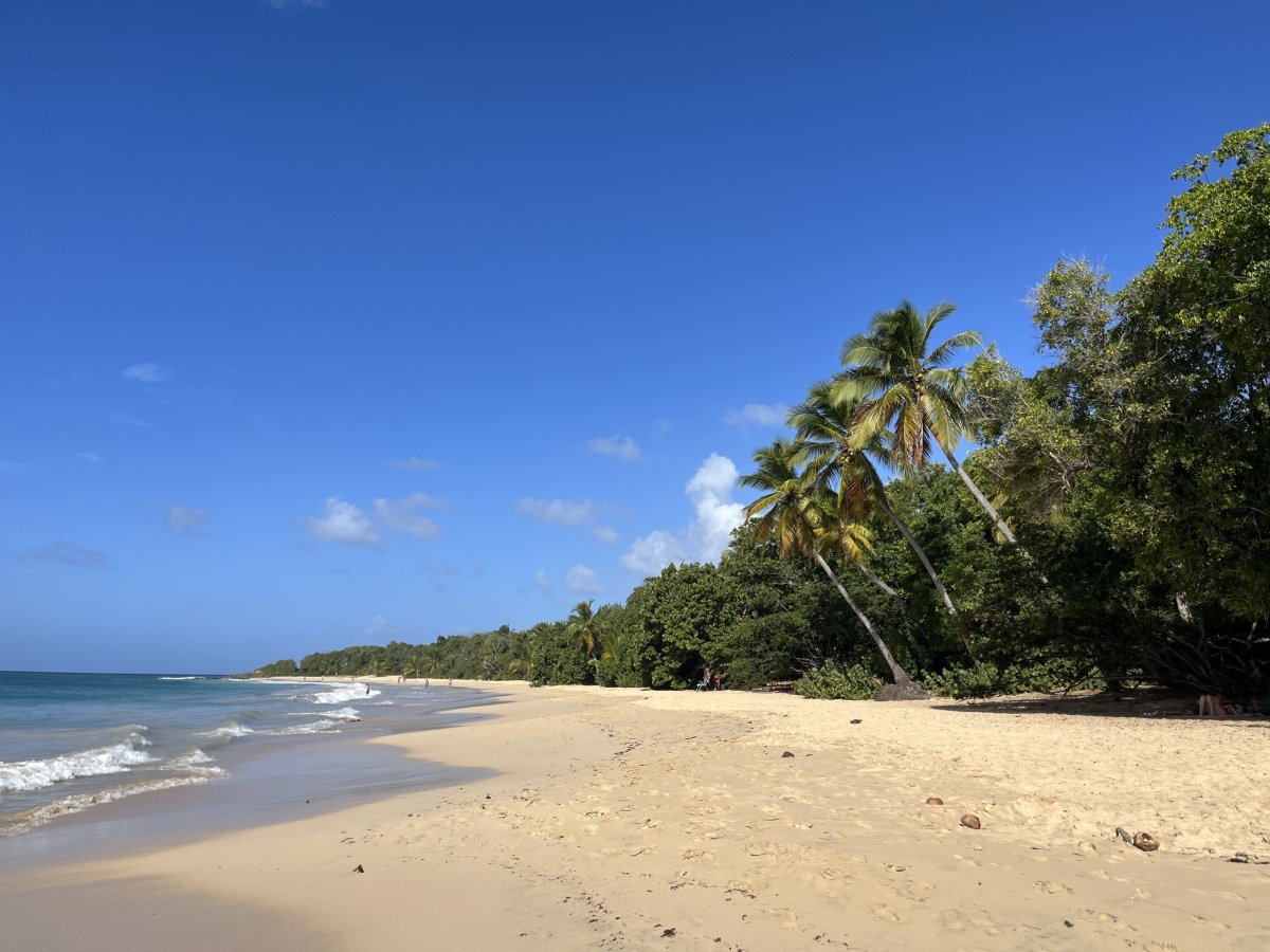 Plage des Salines