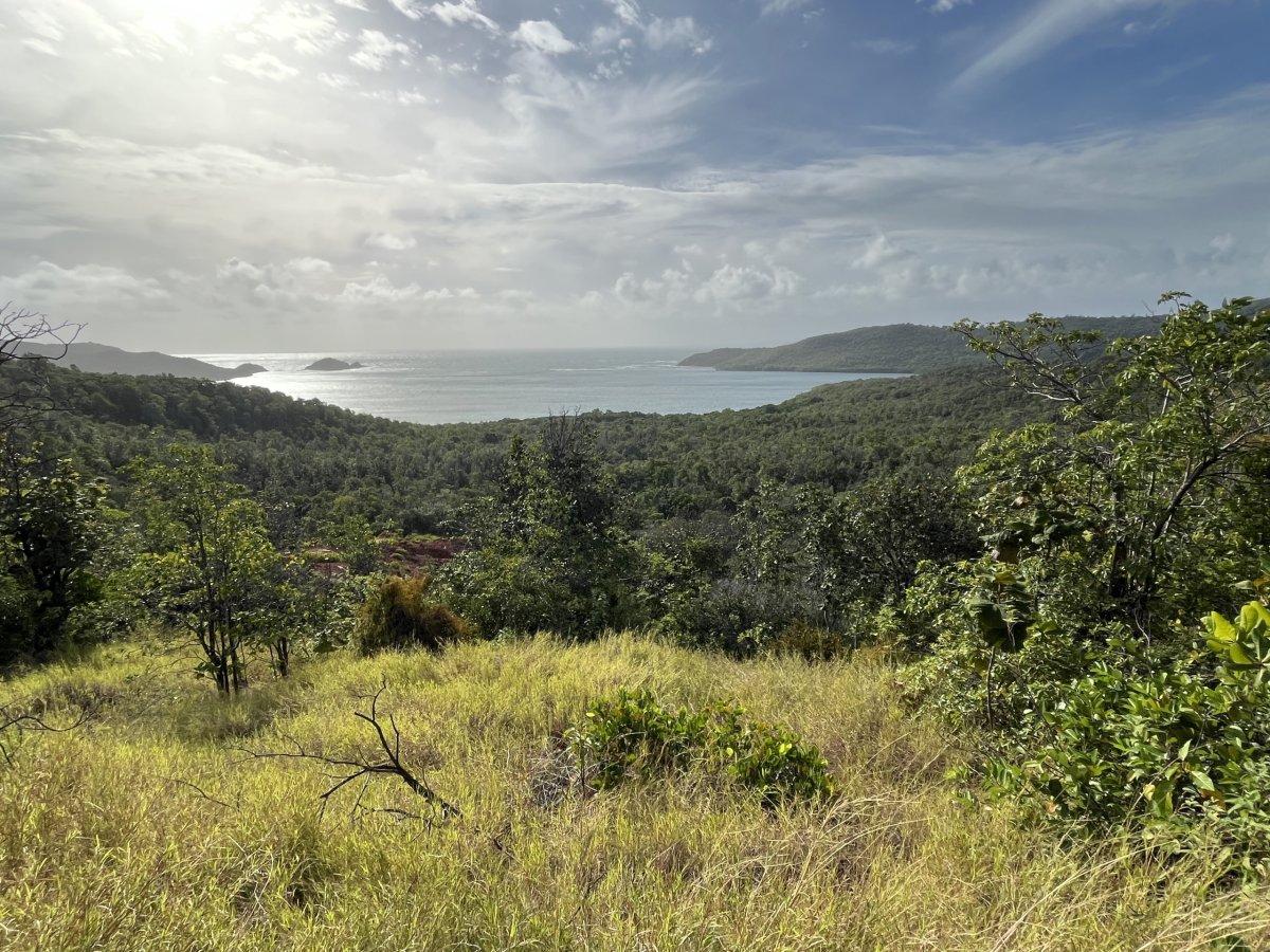 Presqu'île de la Caravelle