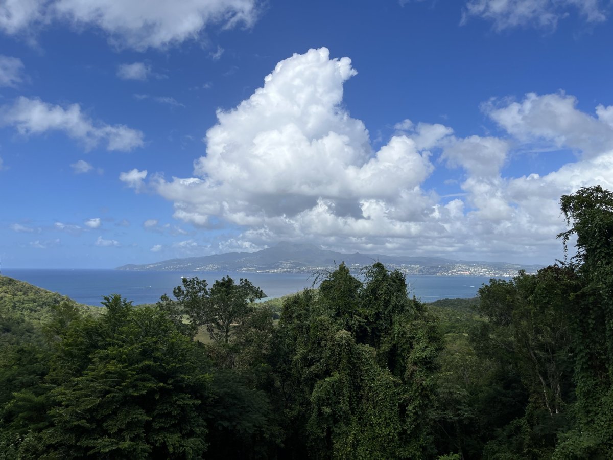 cesta na Anse Dufour