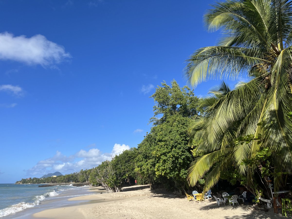 Anse Figuier