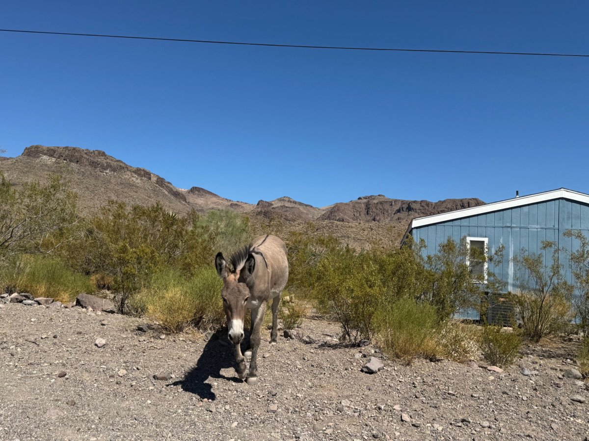 Oatman