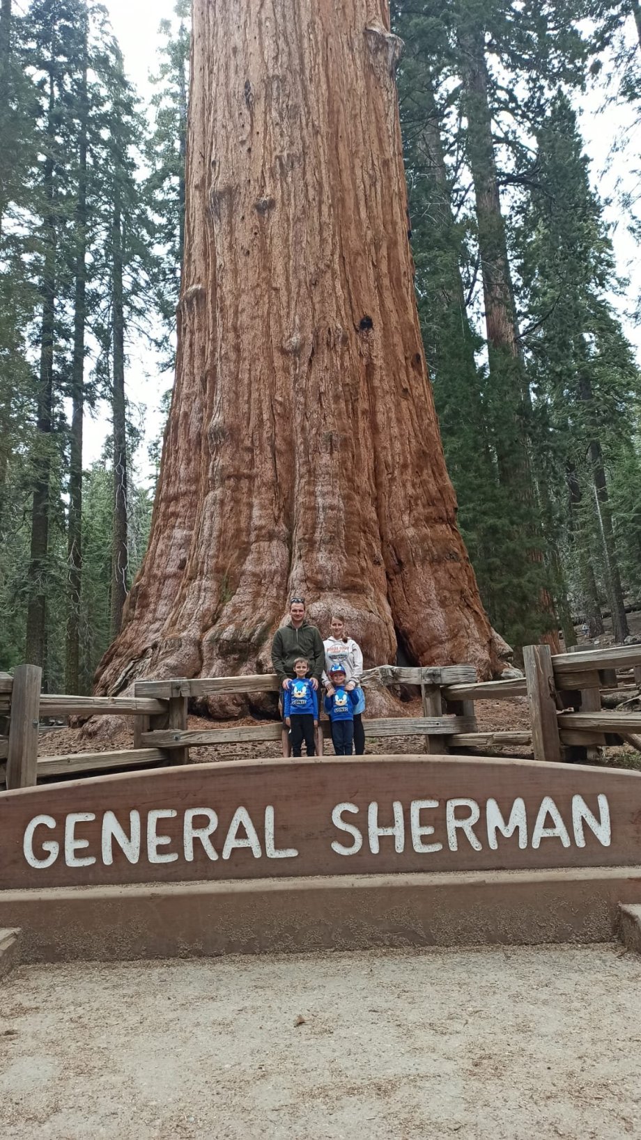 Sequoia NP