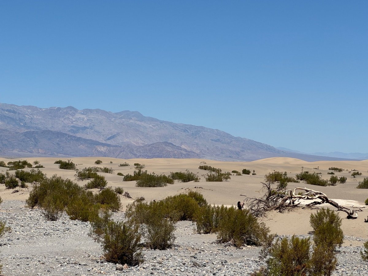 Mesquite Flat Dunes