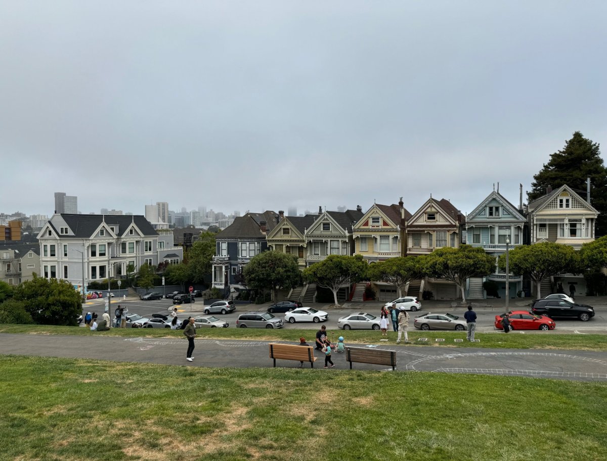 Painted Ladies