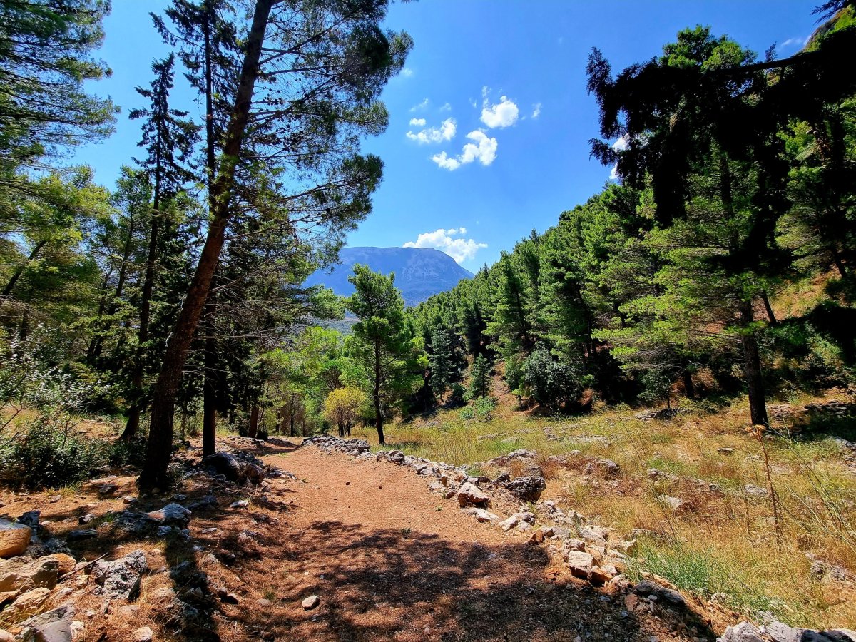 Trek na Monte Grotta Grande 