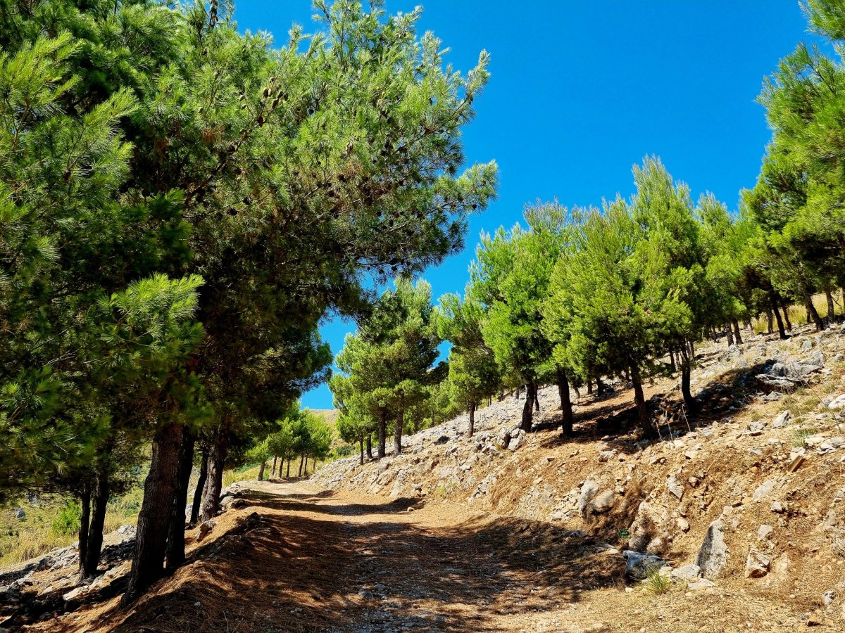 Trek na Monte Grotta Grande