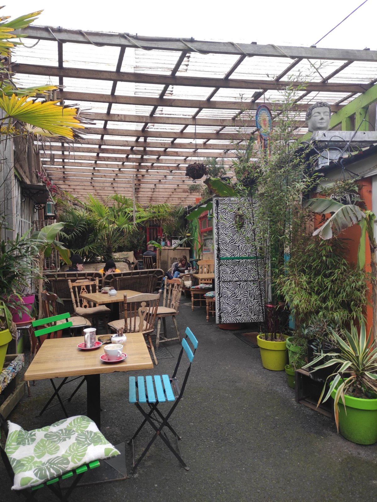 Jungle Café Galway