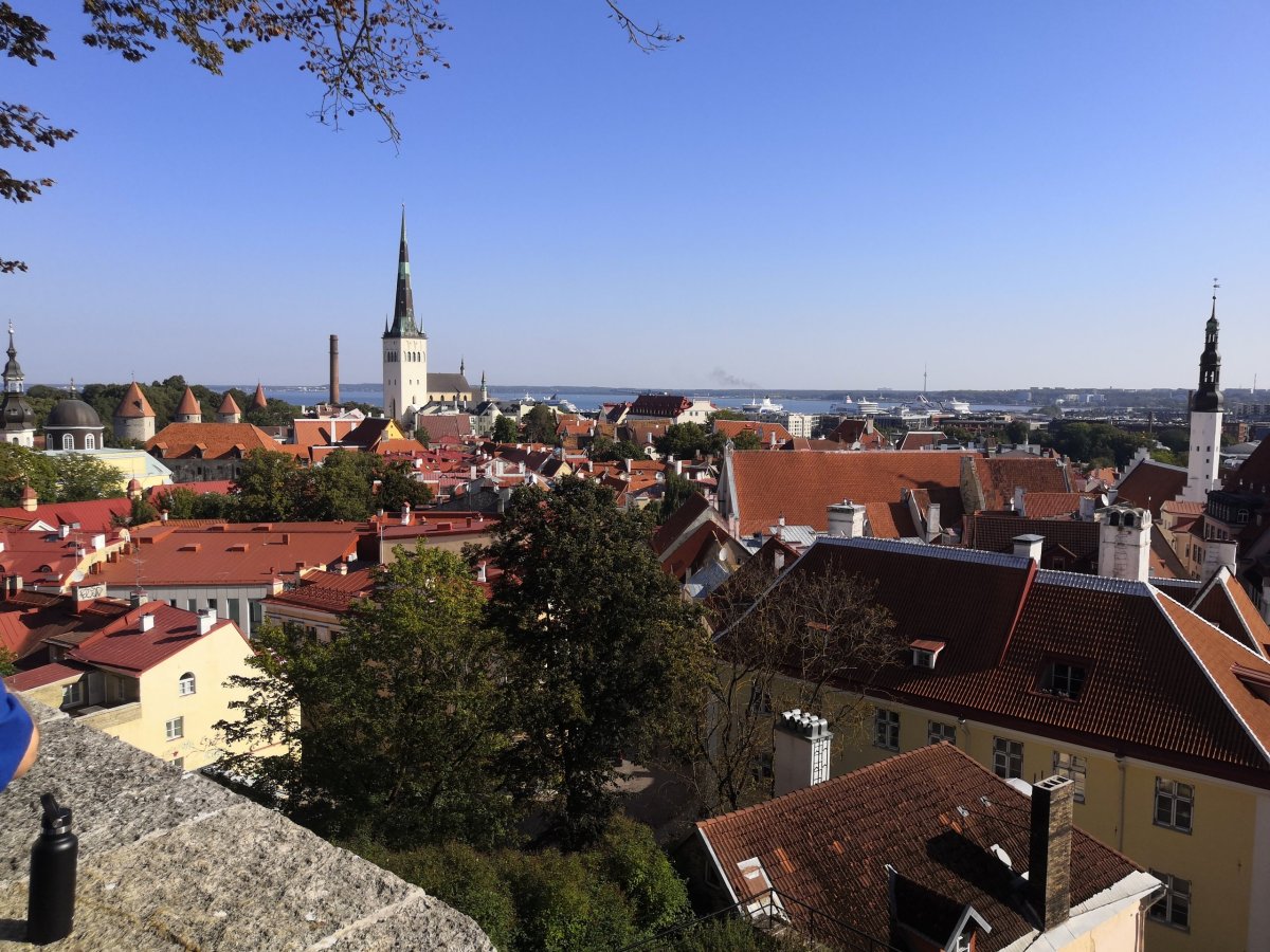 Výhledy na město