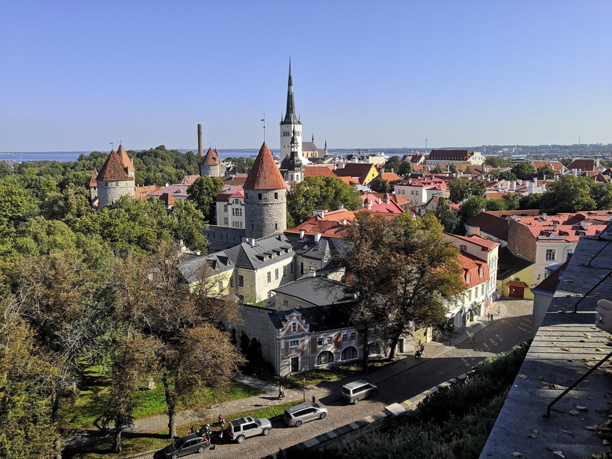 Výhledy na město