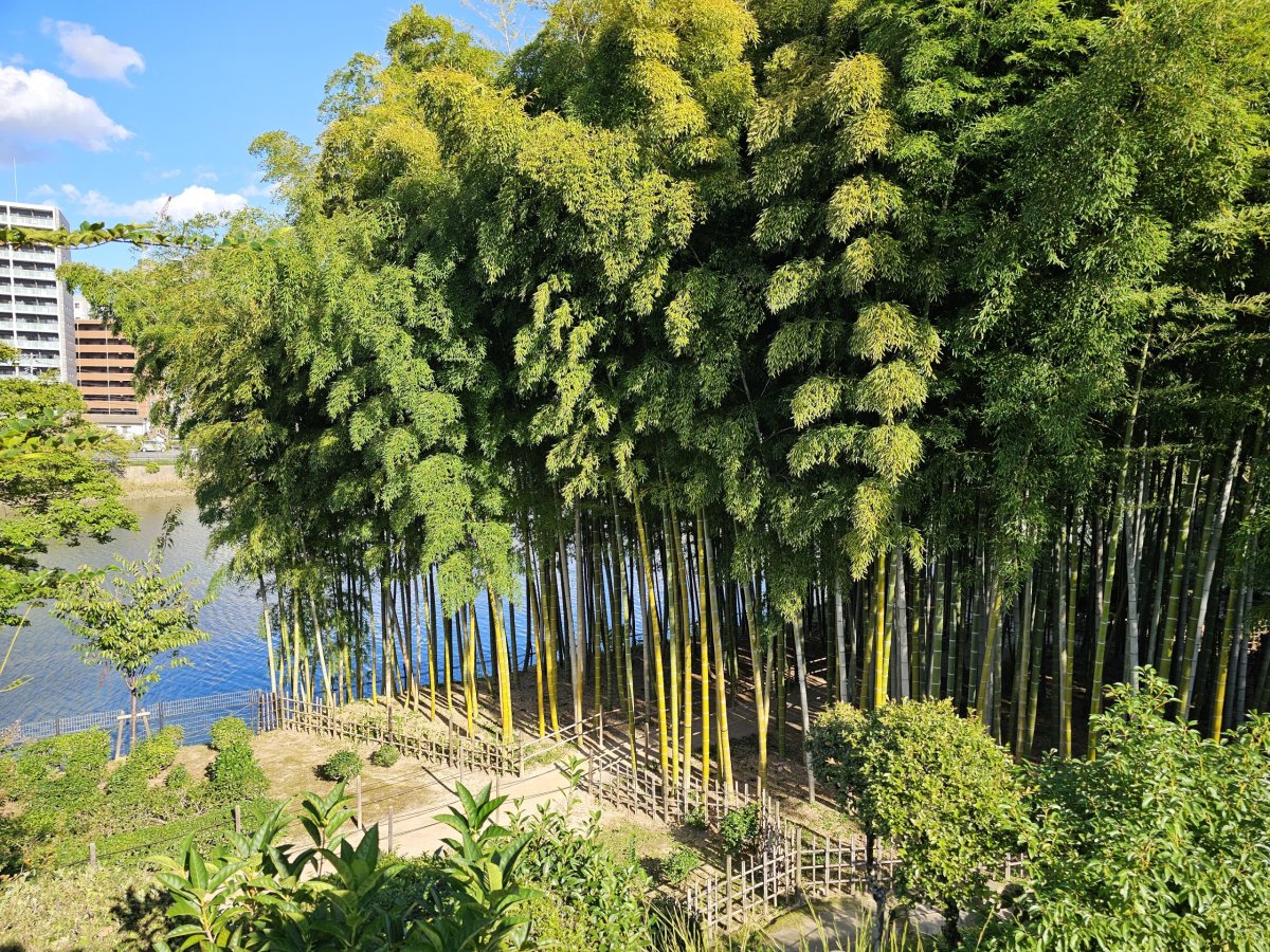 Shukkeien Garden