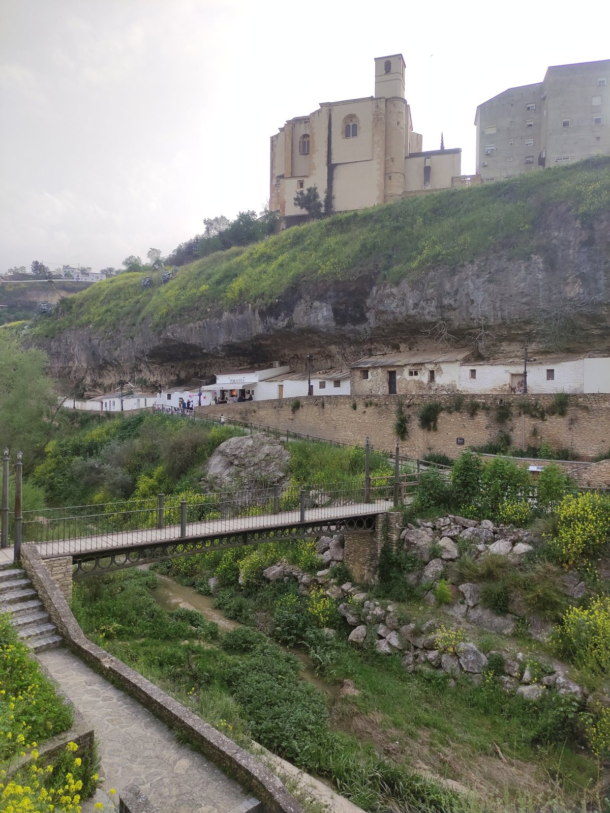 Setelis de las Bodegas