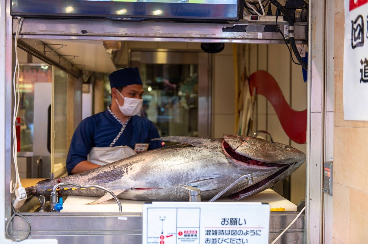 Zpracování tuňáka v sushi-restauraci