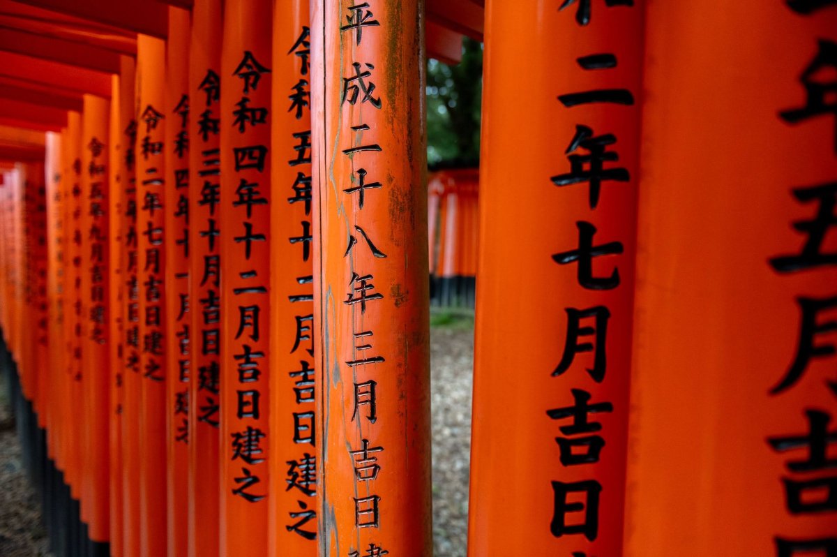 Detail brány torii