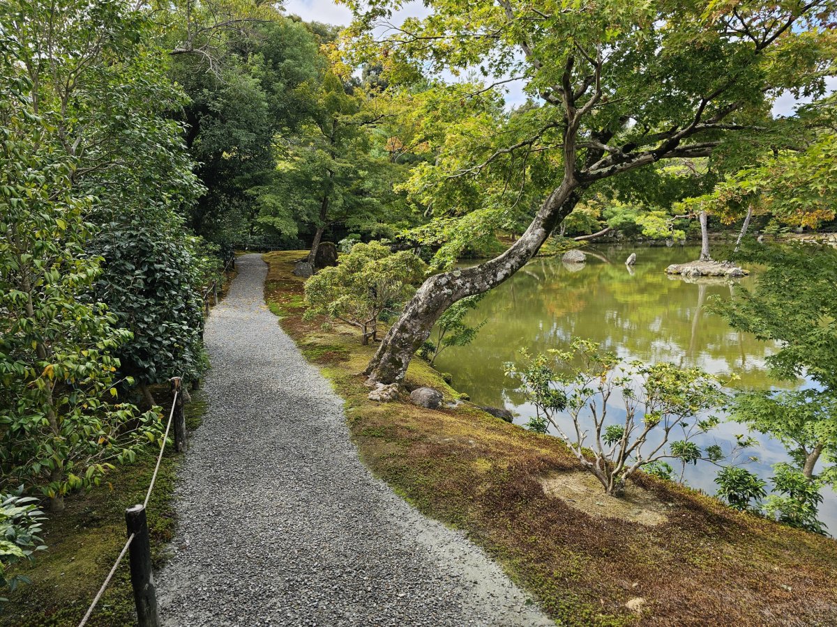 Park u chrámu Kinkakuji