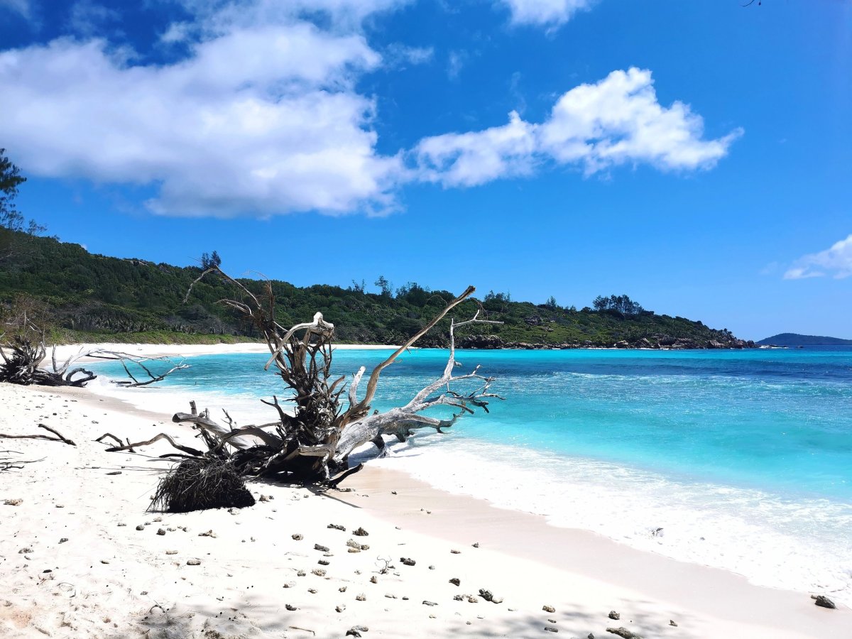 Anse Coco