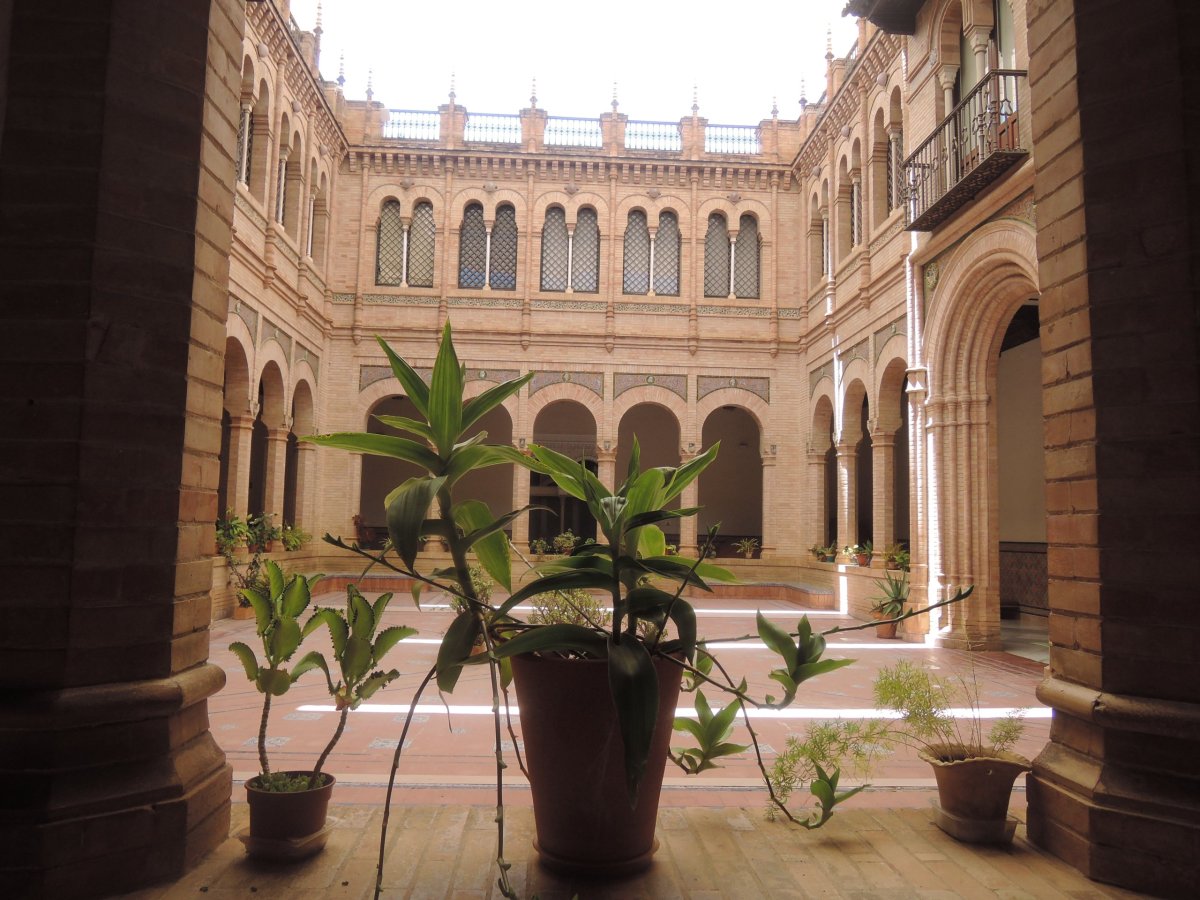 Patio musea