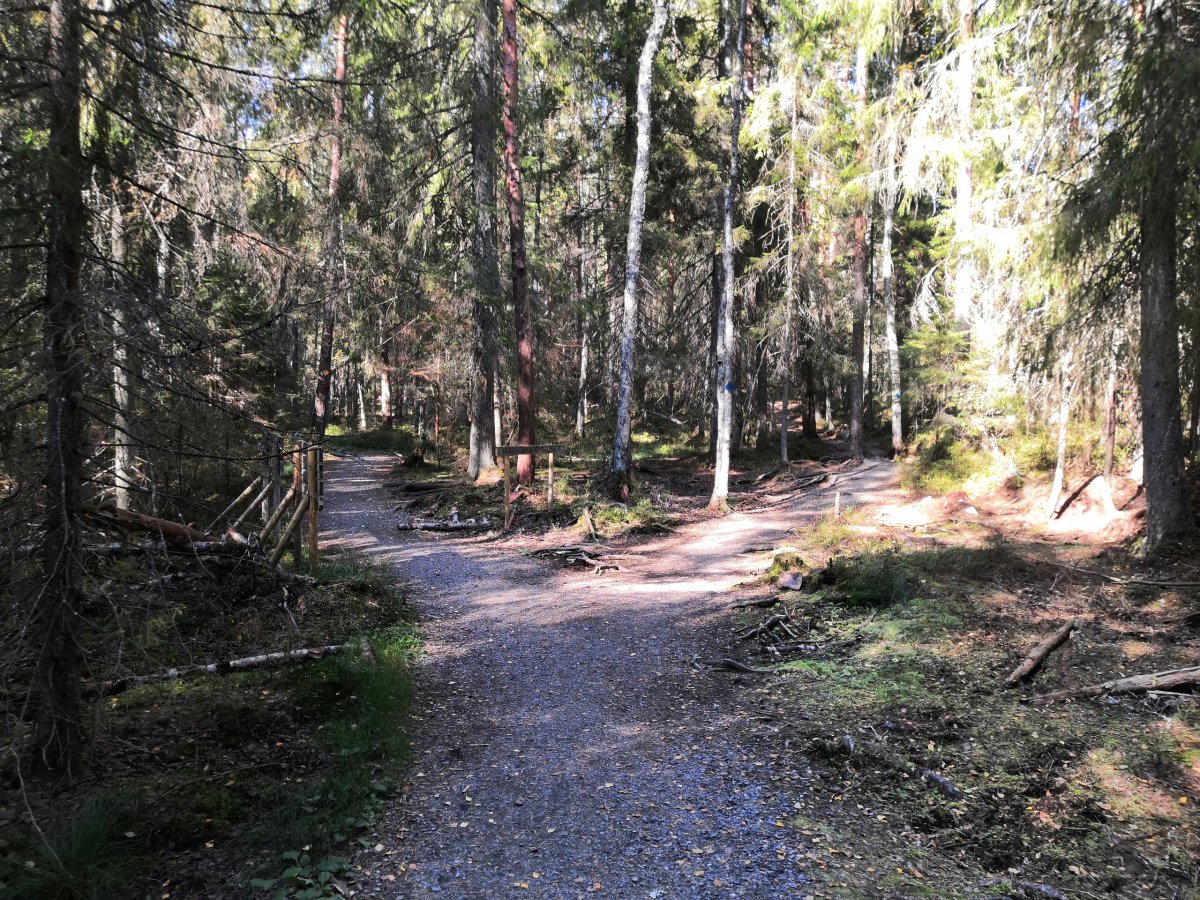 NP Nuuksio