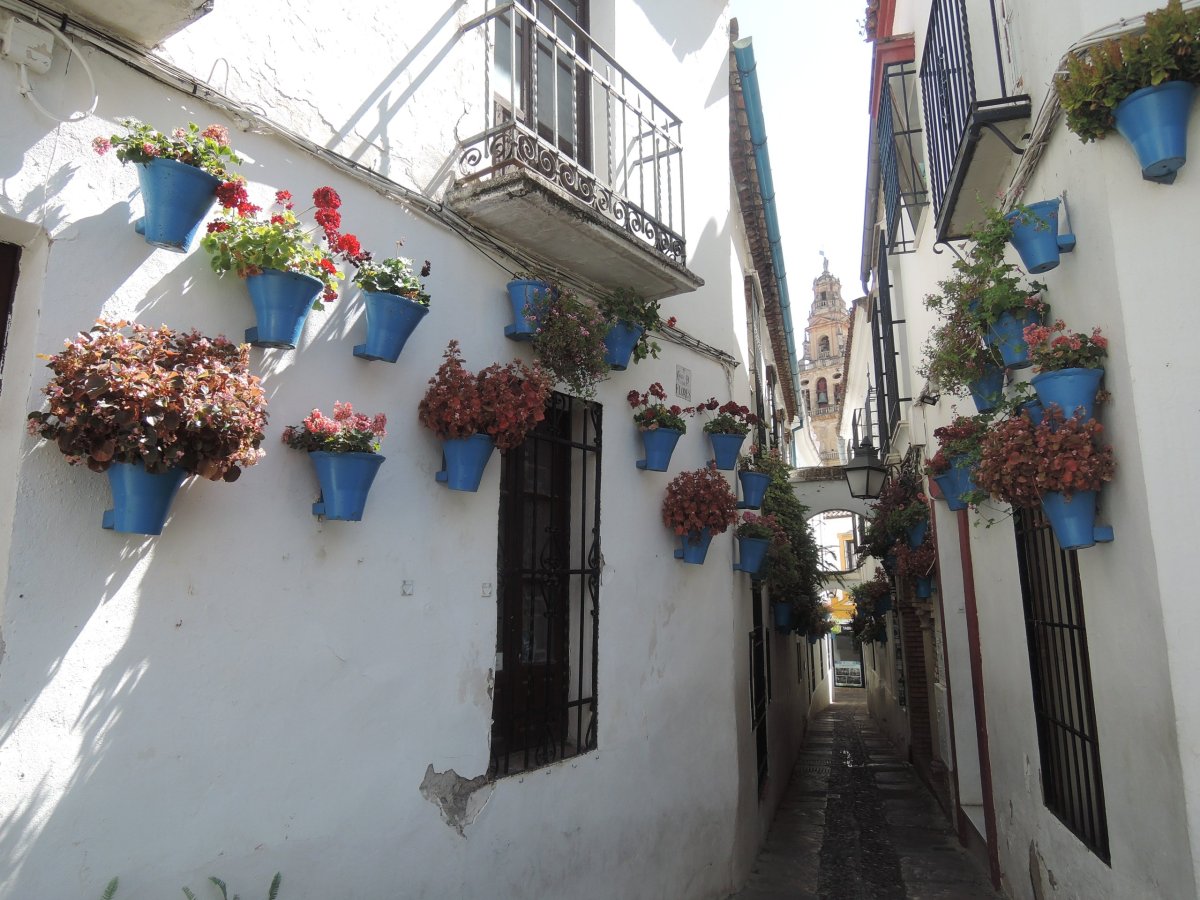 Calleja de las Flores