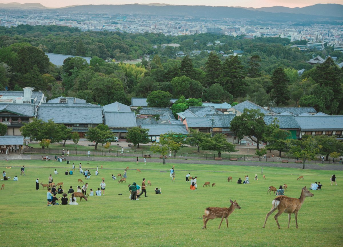 Výhled z Nara Park