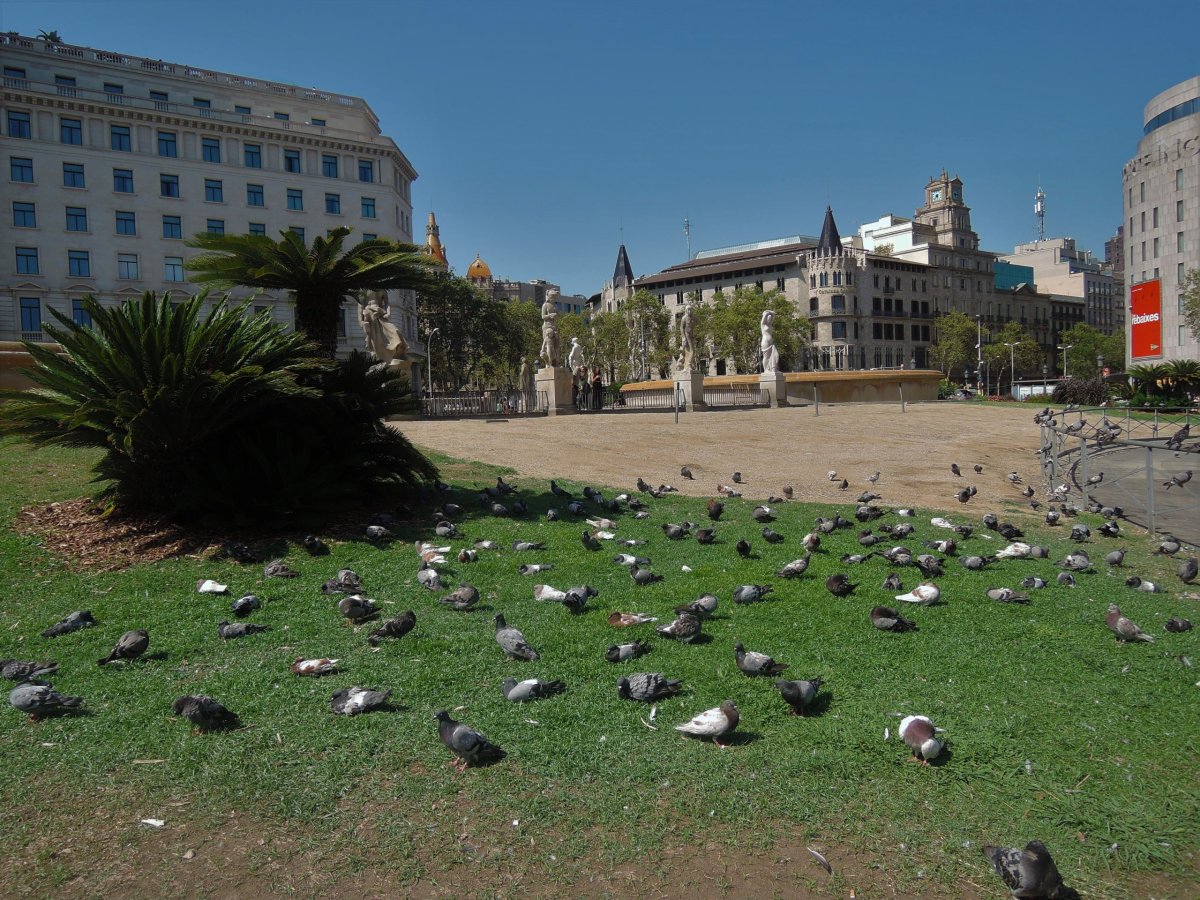 Katalánské nám. Placa de Catalunya