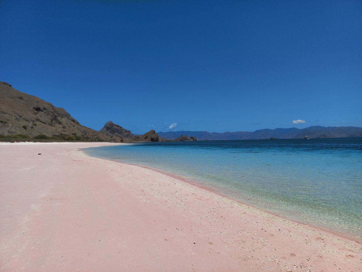 Pink Beach, Komodské ostrovy, Indonésie