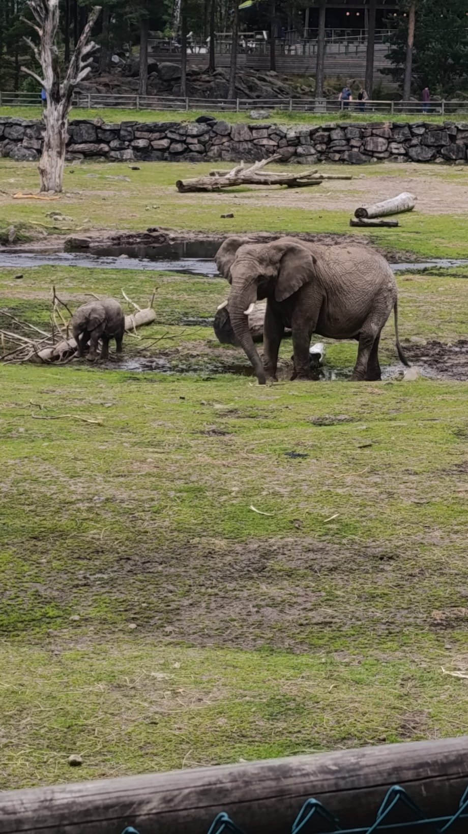 Borås zoo