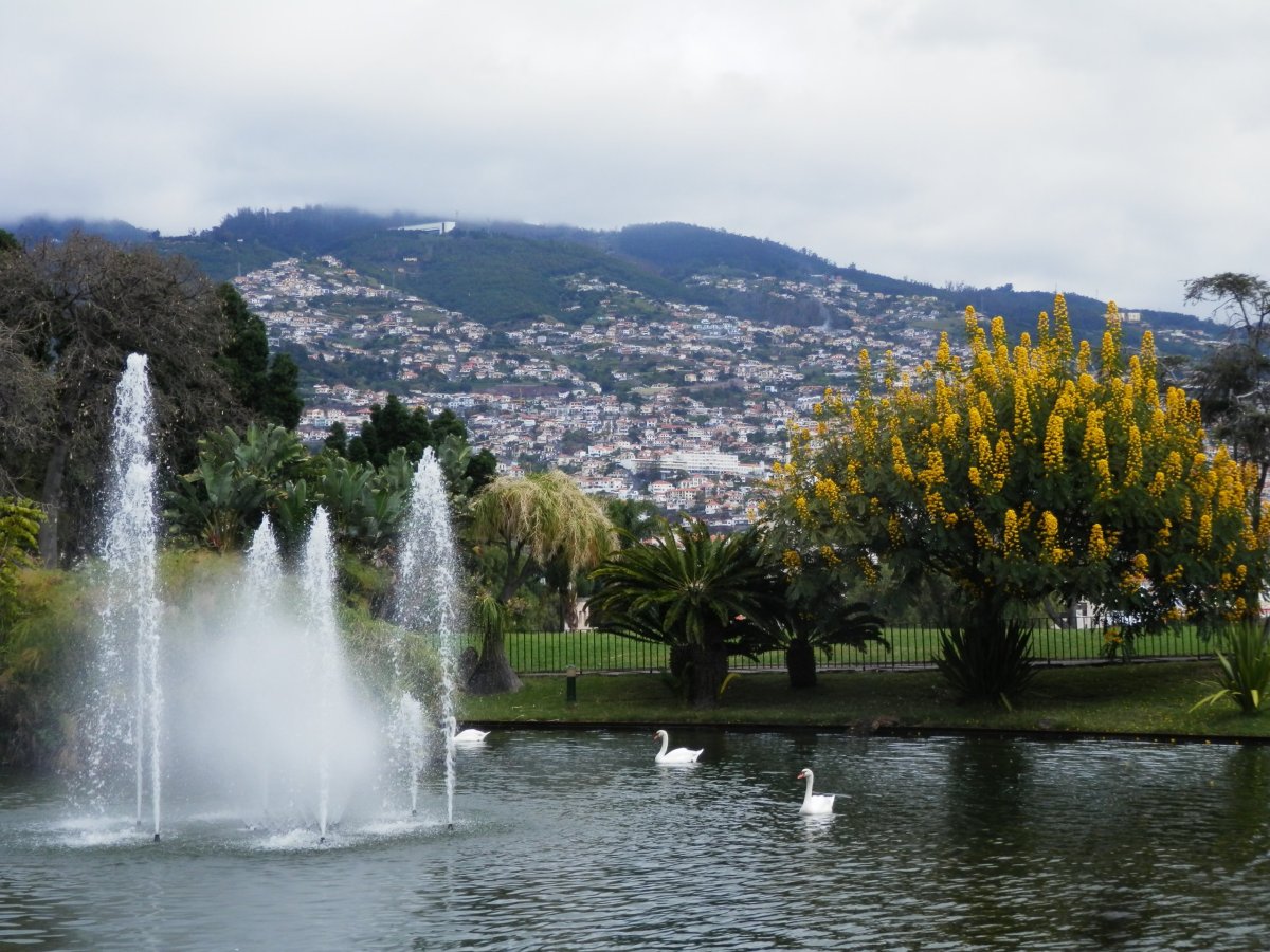 Parque de Santa Catarina